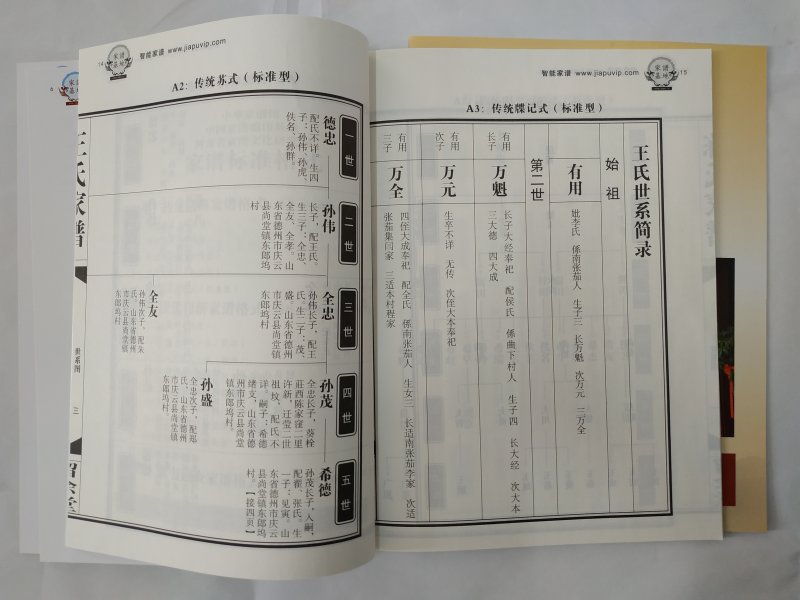 ����˾ؓ؟��ӡ�ġ����ܼ��V����������3000�����������